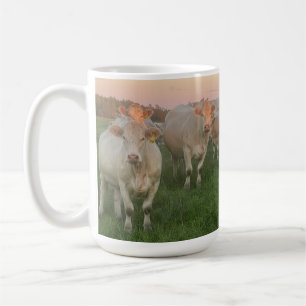 Hübsche Pastel Charolais Rinder auf Weiden Kaffeetasse