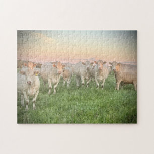 Hübsche Pastel Charolais Rinder auf Weiden Puzzle