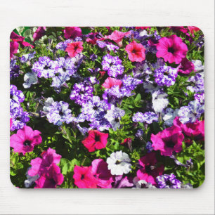 Hübsche Petunia-Blume Mousepad