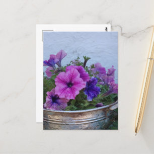 Hübsche Petunien Postkarte