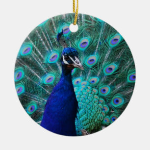 Hübsche Pfau-Verzierung Keramikornament