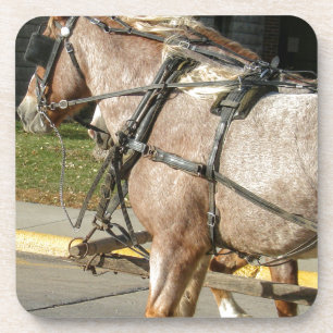 Hübsche Pferde Getränkeuntersetzer