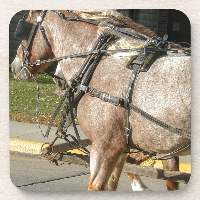 Hübsche Pferde Getränkeuntersetzer (Vorderseite)