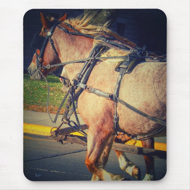 Hübsche Pferde Mousepad (Vorne)