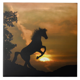 Hübsche Pferdezucht Fliese