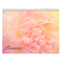 Hübsche Phantastische Volkswirtschaften