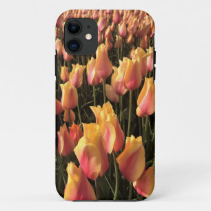Hübsche Pink-gelbe Tulpen Case-Mate iPhone Hülle