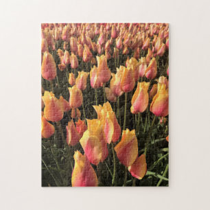 Hübsche Pink-gelbe Tulpen Puzzle