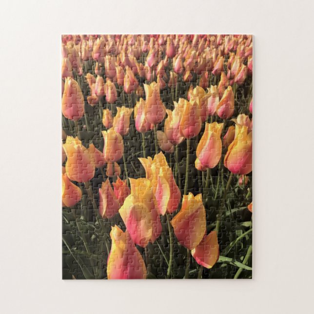 Hübsche Pink-gelbe Tulpen Puzzle (Vertikal)