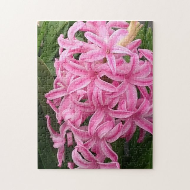 Hübsche Pink Hyacinth Blume Jigsaw Puzzles (Vertikal)