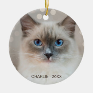 Hübsche Ragdoll-Katze & editierbarer Name Keramik Ornament