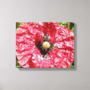 Hübsche Red Poppe Flwoer Macro Canvas Print Leinwanddruck