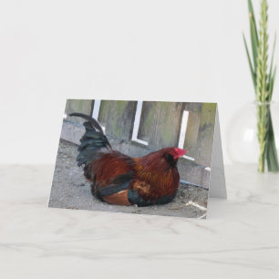 Hübsche Rooster-Grußkarte Karte