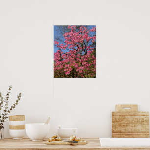 Hübsche rosa Azaleen Blumen Poster