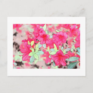 hübsche rosa Azaleenblüten. Florale Gartenpflanze Postkarte