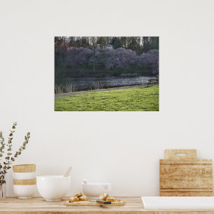 Hübsche rosa blühende Bäume Teich Poster