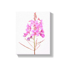 Hübsche rosa Blume, einfach moderne Blumenbotanik