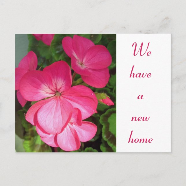 Hübsche Rosa Blume Foto Bewegende Ankündigung Post (Vorderseite)