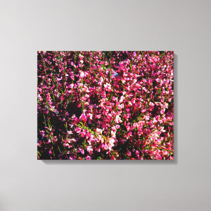Hübsche rosa Blume Leinwanddruck