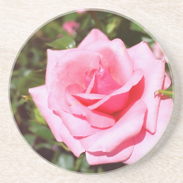hübsche Rosa-Blume mit süßen Herzen Sandstein Untersetzer (Vorne)