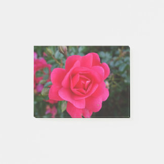hübsche Rosa-Blumenfotografie Post-it Klebezettel