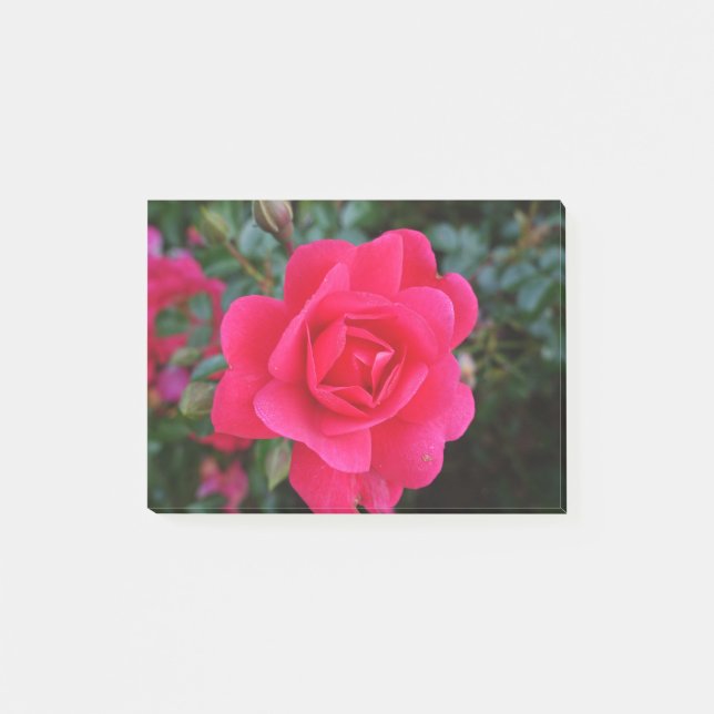 hübsche Rosa-Blumenfotografie Post-it Klebezettel (Vorderseite)