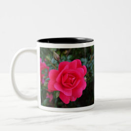 hübsche Rosa-Blumenfotografie Zweifarbige Tasse
