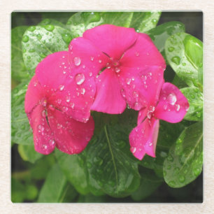 Hübsche Rosa Frühlingsblumen Makrofotografie Glasuntersetzer