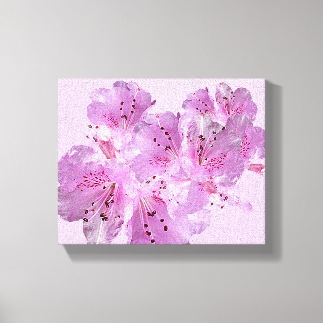 Hübsche rosa Frühlingsblüte blumengeschmückt moder Leinwanddruck (Vorderseite)