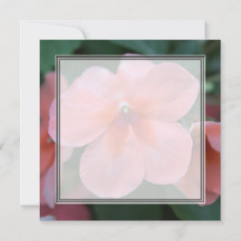 Hübsche Rosa-Garten-Blume Blanche Hochzeit, Party, Einladung