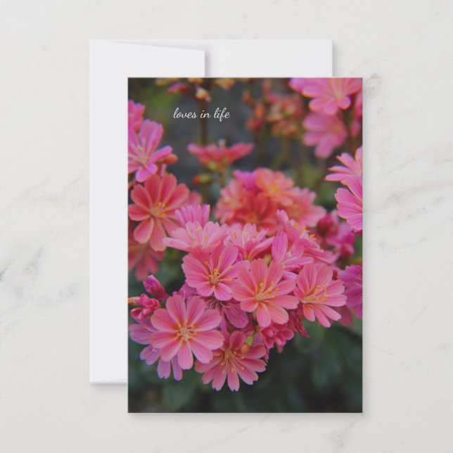 Hübsche Rosa-Garten-Blume Mitteilungskarte (Vorderseite)