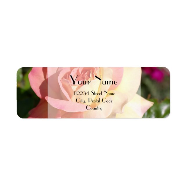 Hübsche rosa-gelbe Blume, kundenspezifisch (Vorne)