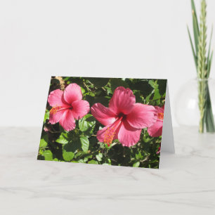 Hübsche rosa Hibiskus-Blumen-Gruß-Karte Karte