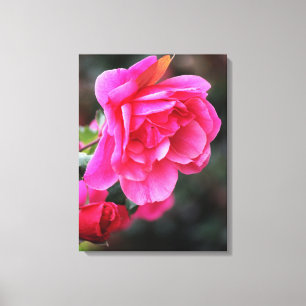 Hübsche Rosa-Leinwand Leinwanddruck
