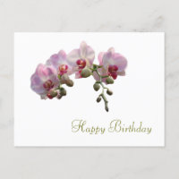 hübsche Rosa-Orchideen-Blume zum Geburtstag