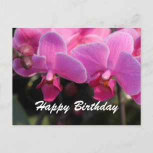 Hübsche rosa Orchideenblüten. Geburtstagswünsche Postkarte