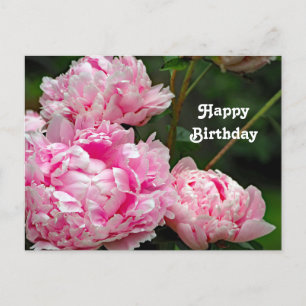 Hübsche rosa Pfingstrosen Florales Foto Geburtstag Postkarte