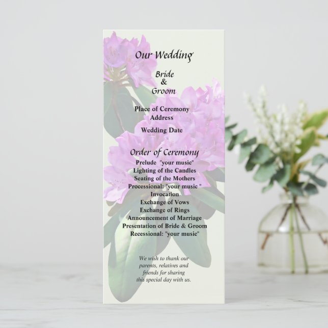 Hübsche rosa Rhododendren Programm (Stehend Vorderseite)