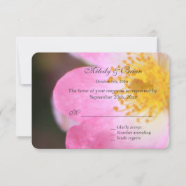 Hübsche Rosa Rosa-Blume Hochzeit RSVP Karte