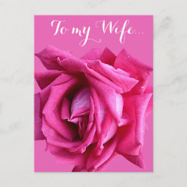 Hübsche Rosa Rose Blumenkohl Geburtstagskarte Postkarte