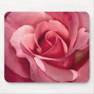 Hübsche rosa Rose Mousepad