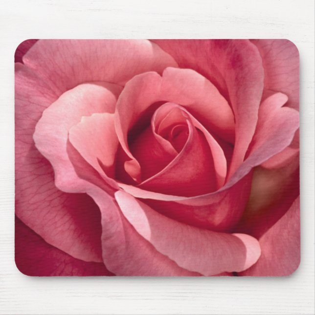 Hübsche rosa Rose Mousepad (Vorne)