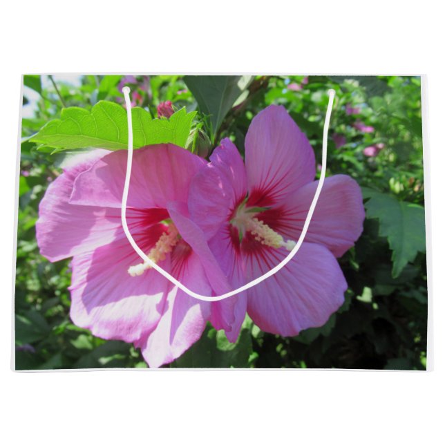 Hübsche Rosa Rose von Sharon Foto Große Geschenktüte (Vorderseite)