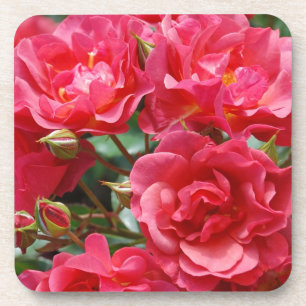 Hübsche rosa Rosen Druck Untersetzer