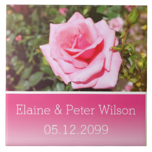 Hübsche rosa Rosenblumen-Hochzeit-Jubiläum Fliese