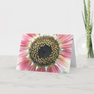 Hübsche rosa Sonnenblumen-Grußkarte Karte