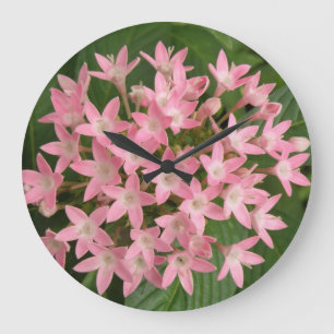 Hübsche, rosa, tropische Blume, Uhr