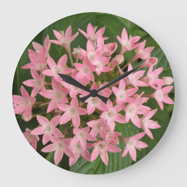 Hübsche, rosa, tropische Blume, Uhr (Vorderseite)