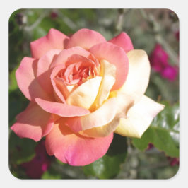 Hübsche rosa und gelbe Blume. floral Quadratischer Aufkleber