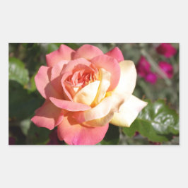 Hübsche rosa und gelbe Blume. floral Rechteckiger Aufkleber